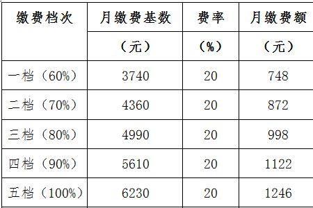 深圳灵活就业和职工社保哪个好