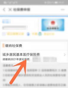 支付宝河南怎么交医保