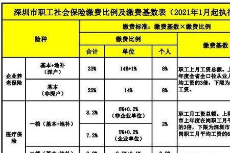 社保扣费标准