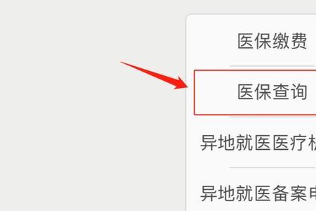 重庆医保怎么查询收支
