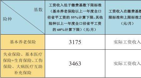 在编教师社保缴纳单位是哪