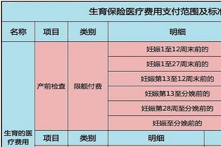 没有社保生孩子可以报销吗