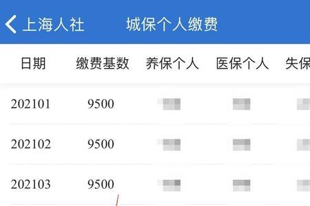 个人郑州社保咋查基数