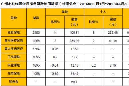 广州社保每月返还多少