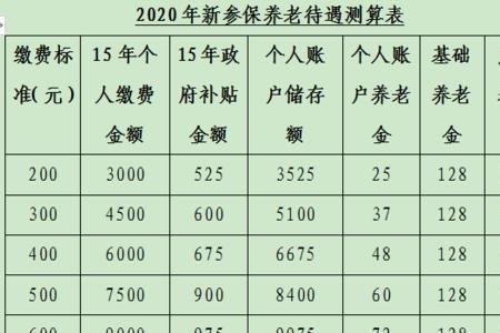 怎样查个人账户养老金储存额