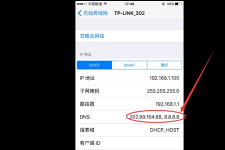 iphone如何设置dns