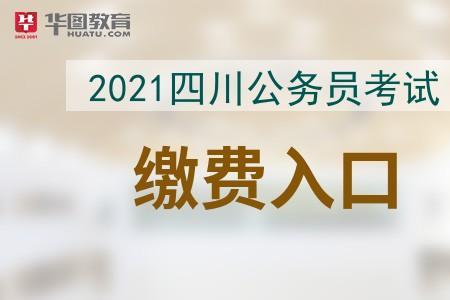 四川省中人视同缴费指数是多少