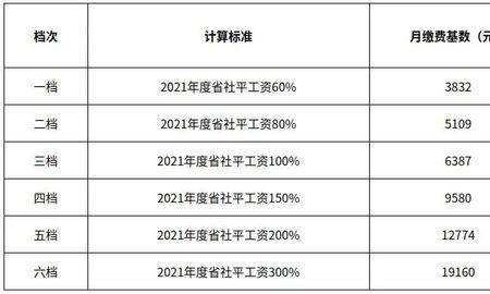 2022灵活就业缴费时间河南