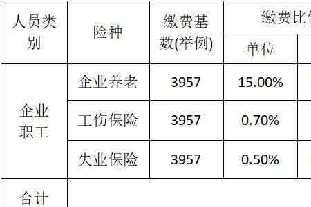 2022个人社保缴费标准