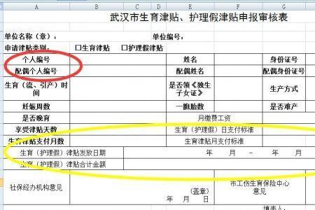 武汉生育津贴到账怎么查询