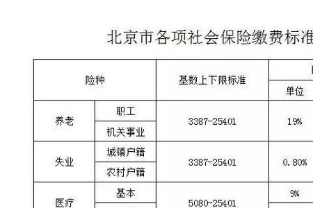 东莞儿童社保年缴费多少