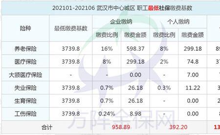 武汉社保证明网上打印要彩印吗