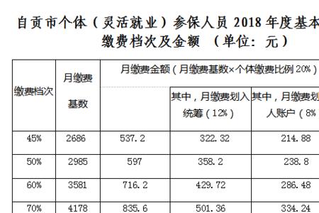 21年四川养老保险