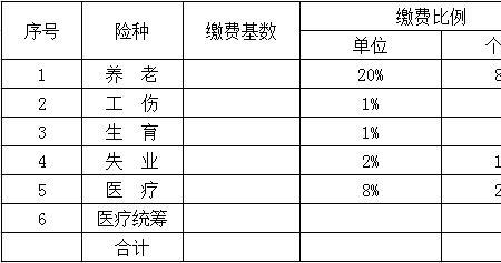 查看以前的社保明细的目的