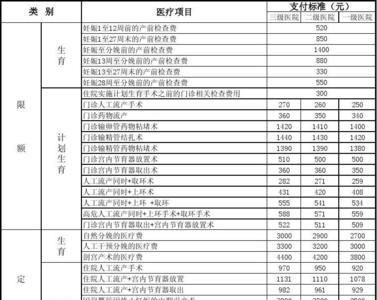 深圳如何查看生育津贴发了多少