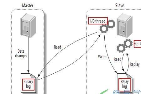 xenserver master和slave的区别