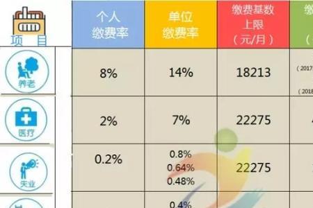 缴费基数总额什么意思