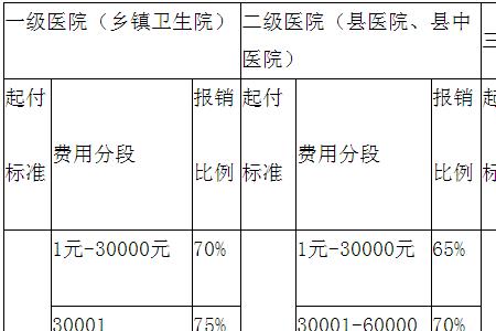 100元医疗保险报销范围