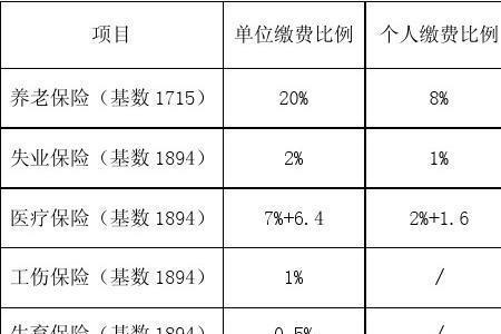 2010年个人社会保险缴费多少