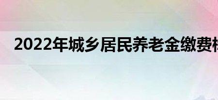 2022年职工养老保险缴费标准