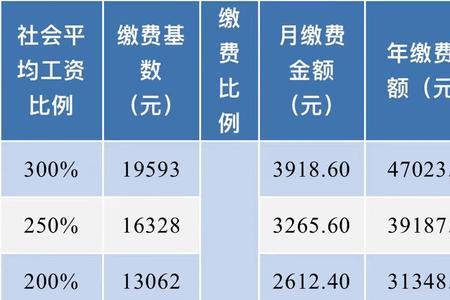 社保补交月份怎么查