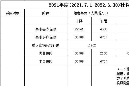 什么时候才能查到新的缴存基数