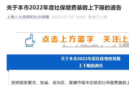 2022年社保缴费显示是哪一年的