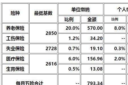 河南可以一次性缴纳社保吗