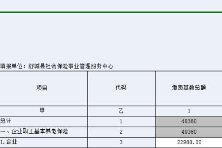 366的养老保险是什么水平