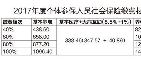 成都市个人怎么买社保