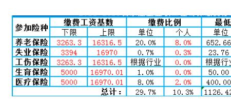 石家庄2022年下半年社保缴费标准