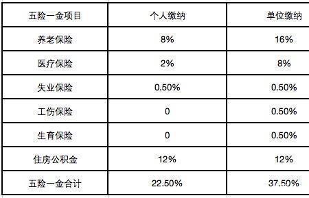 五险一金可以单独缴纳吗