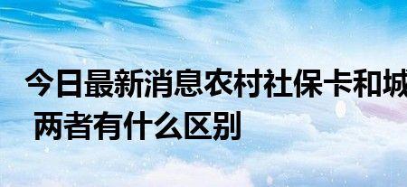 2022年新农保四川最高档是多少