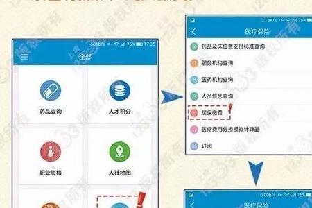 390元医保在手机上怎么交