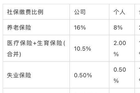 社保个人缴费比例是什么