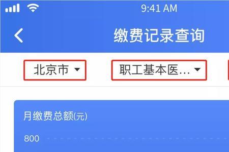 河北医疗保险缴费记录怎么查询