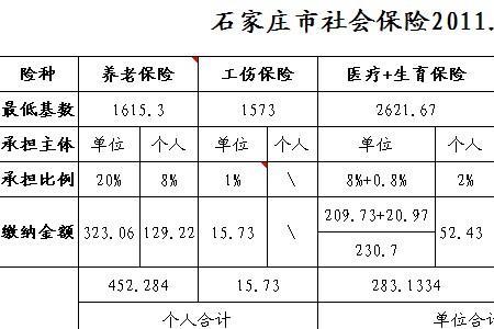 自费缴纳五险一金申请模板