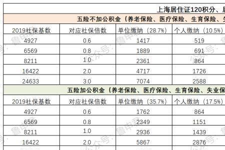 上海社保和城保有什么不同