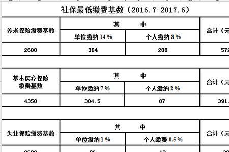 芜湖个人社保每个月几号交