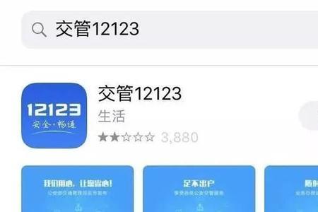 12123怎么知道自己买的哪个保险