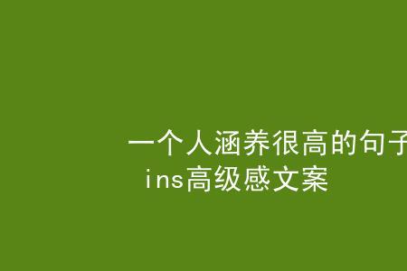 个性标签文案高级感50个字