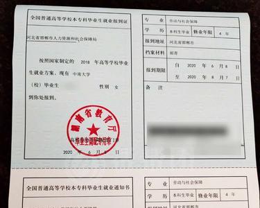 报到证白联不在档案里怎么办