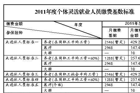 2023年灵活就业养老保险缴费标准