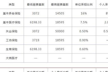 2022年河南社保比例