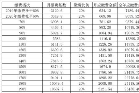 历年缴费记录是什么意思