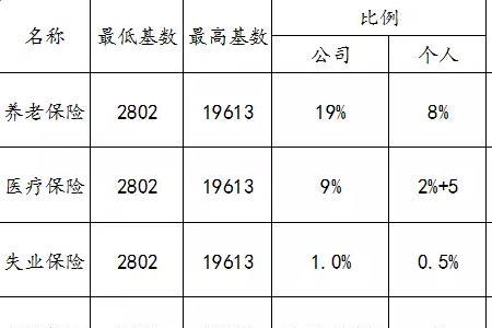 7月份社保为啥只能查到5月的