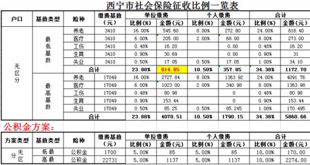 800一个月的社保自己交要多少