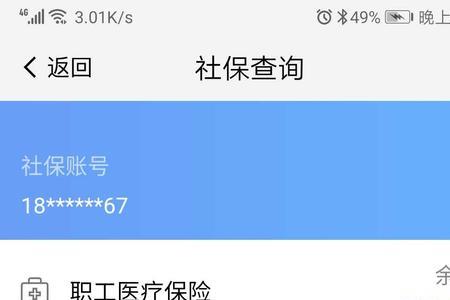 查社保明细查些什么