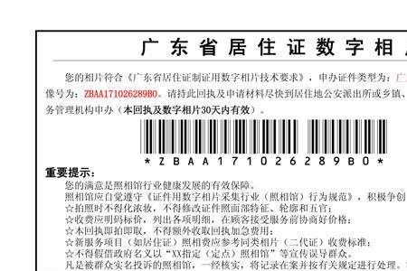 社保卡回执照电子档怎么弄