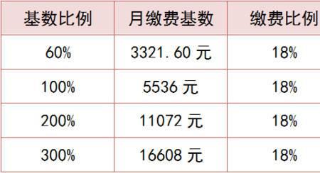 山东灵活就业22年缴费基数